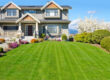 Lawn Care