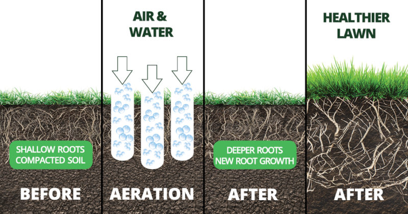 How to maximise the water that you are feeding your lawn with aeration