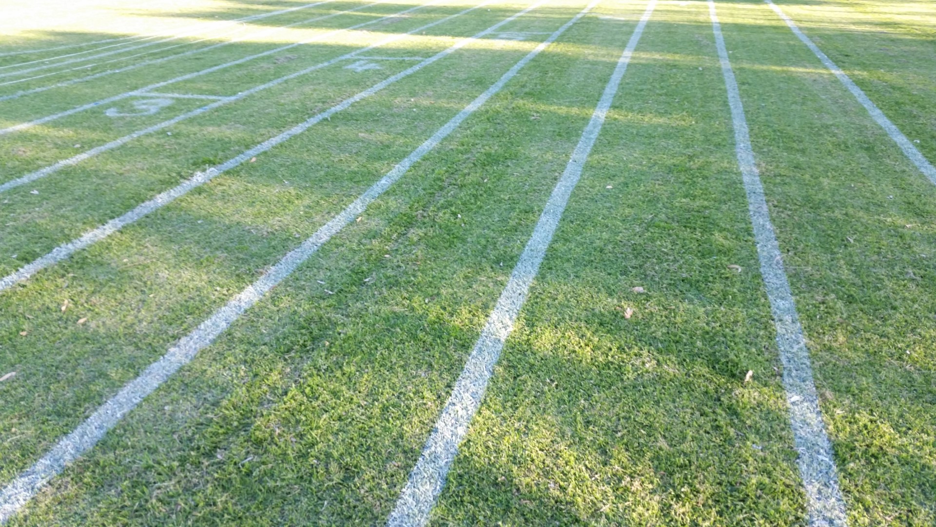 Sports Field Line Marking - 1