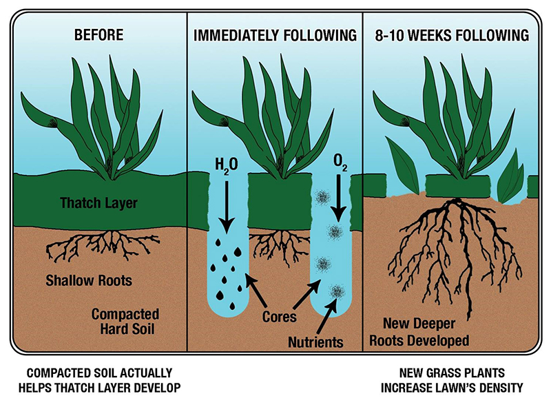 Why Aerate sm