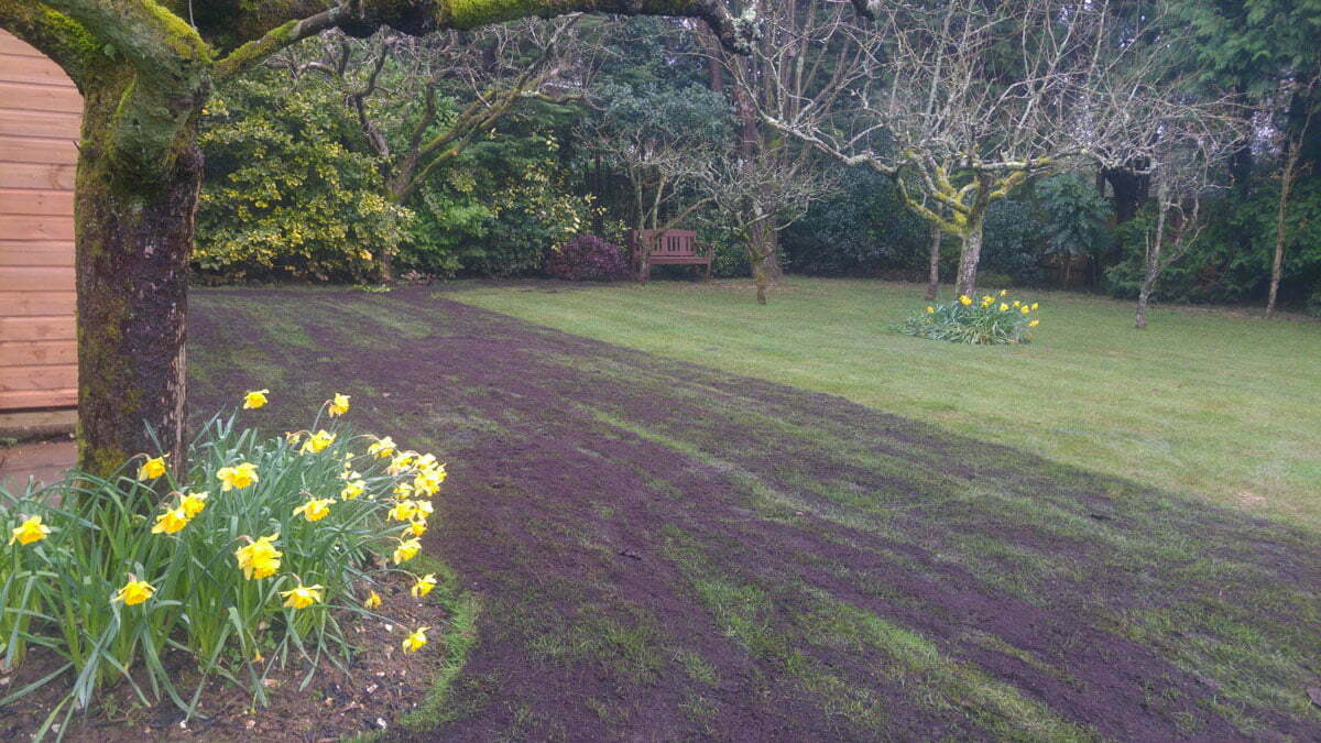 4 Benefits Of Topdressing Your Lawnv