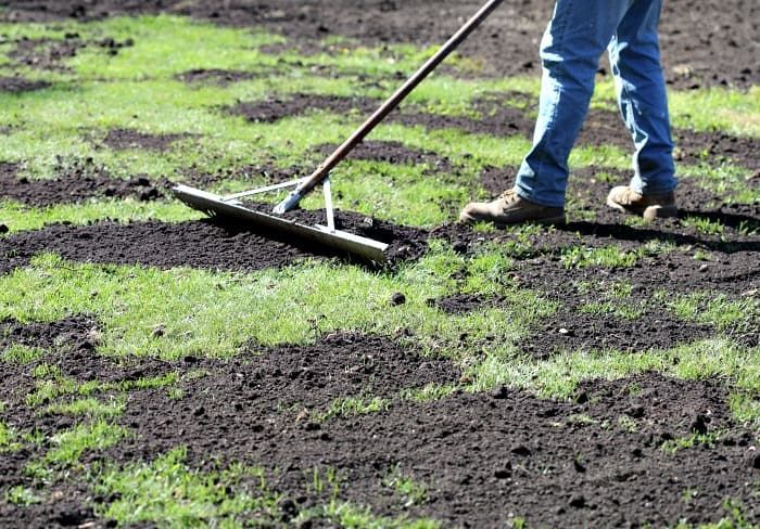 4 Best Benefits Of Topdressing Your Lawn 2