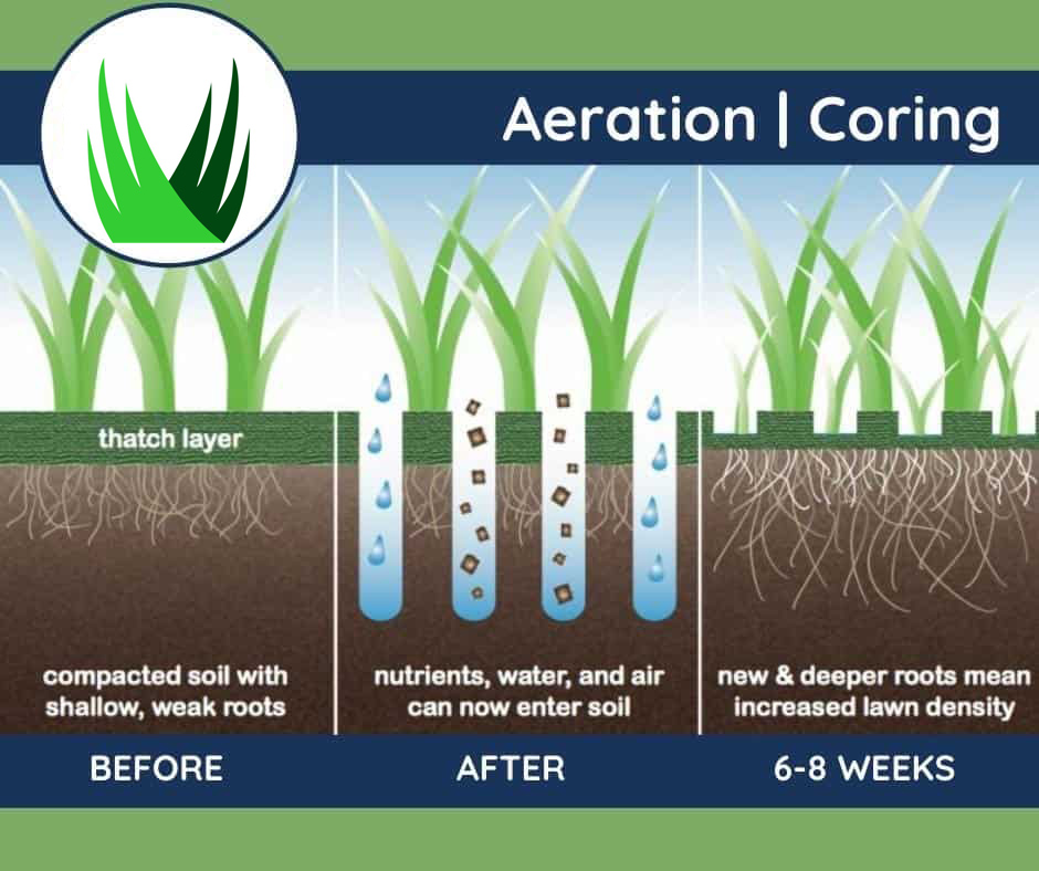 6 important reasons you should aerate your lawns 2