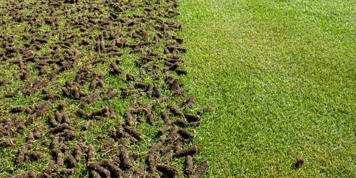 All Grass Solutions Aerating Prestige Fields and Sports Grounds