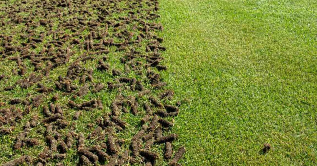 All Grass Solutions Aerating Prestige Fields and Sports Grounds