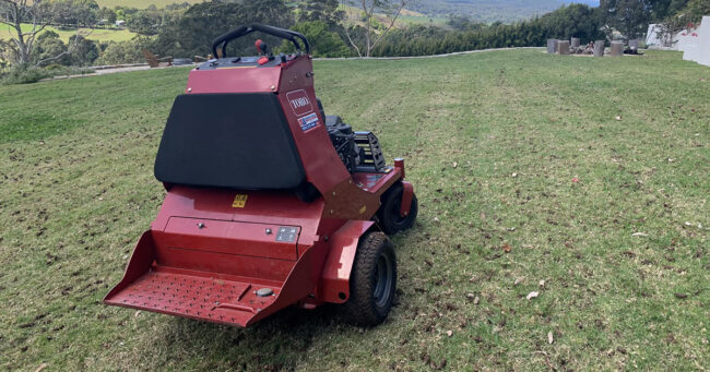 A 3 tip Guide on Lawn Fertilization 1 copy