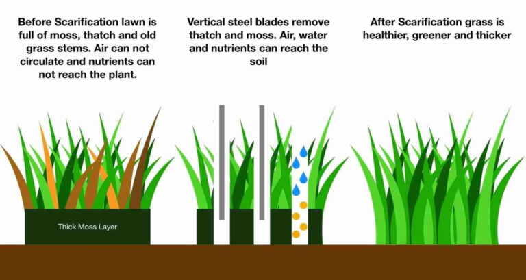 Scarifying 101 – What Is It And Reasons To Do It